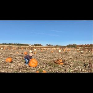 Meet your Posher, Hazel